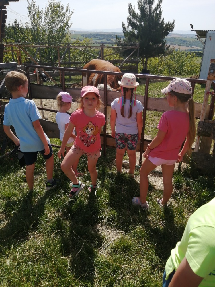 IMG_20250626_101419