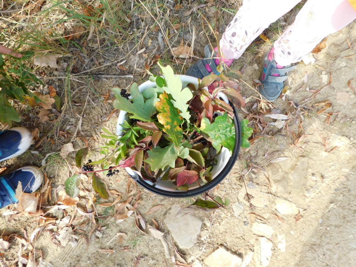 DSCN0825.JPG