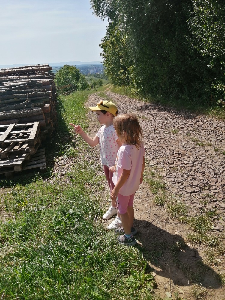 IMG_20250626_102210