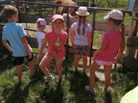 IMG_20250626_101419